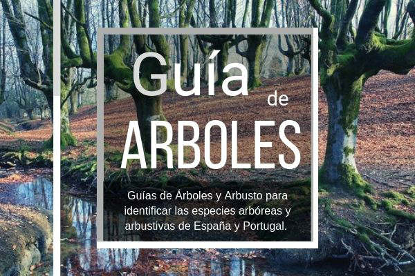 Dónde Comprar Guía de Árboles en España Aquí es donde puedes comprar la guía de arboles de España y Portugal
