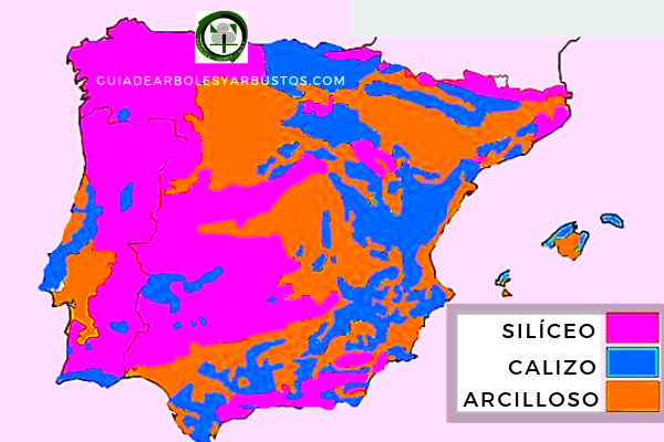 Mapa de Suelos Silíceos o Ácidos en España, Guia de Arboles y arbustos Mapa de que muestra las zonas de suelos silíceos o ácidos en España